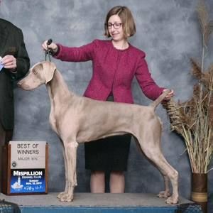 Meet your Posher, Melissa